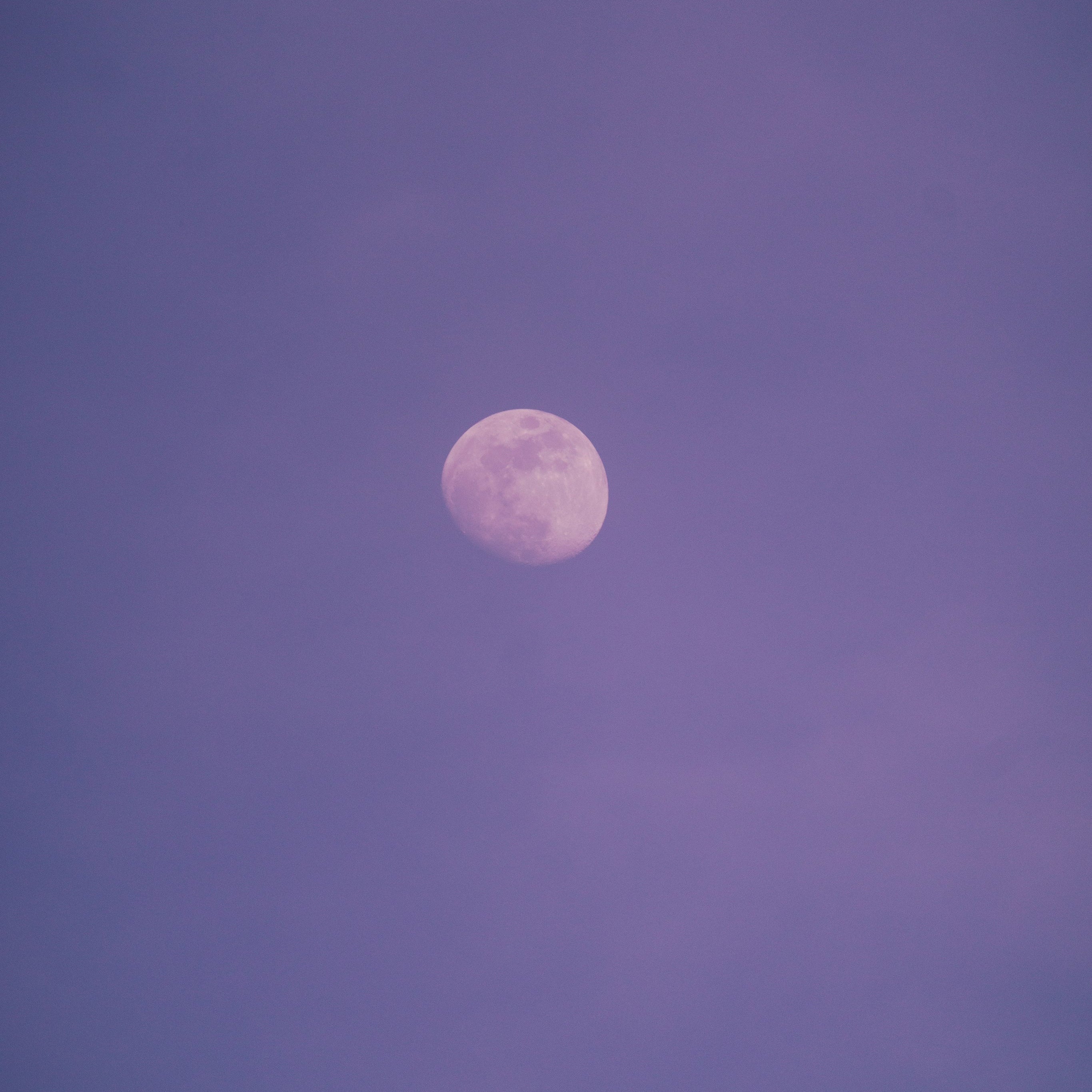 Purple Tones