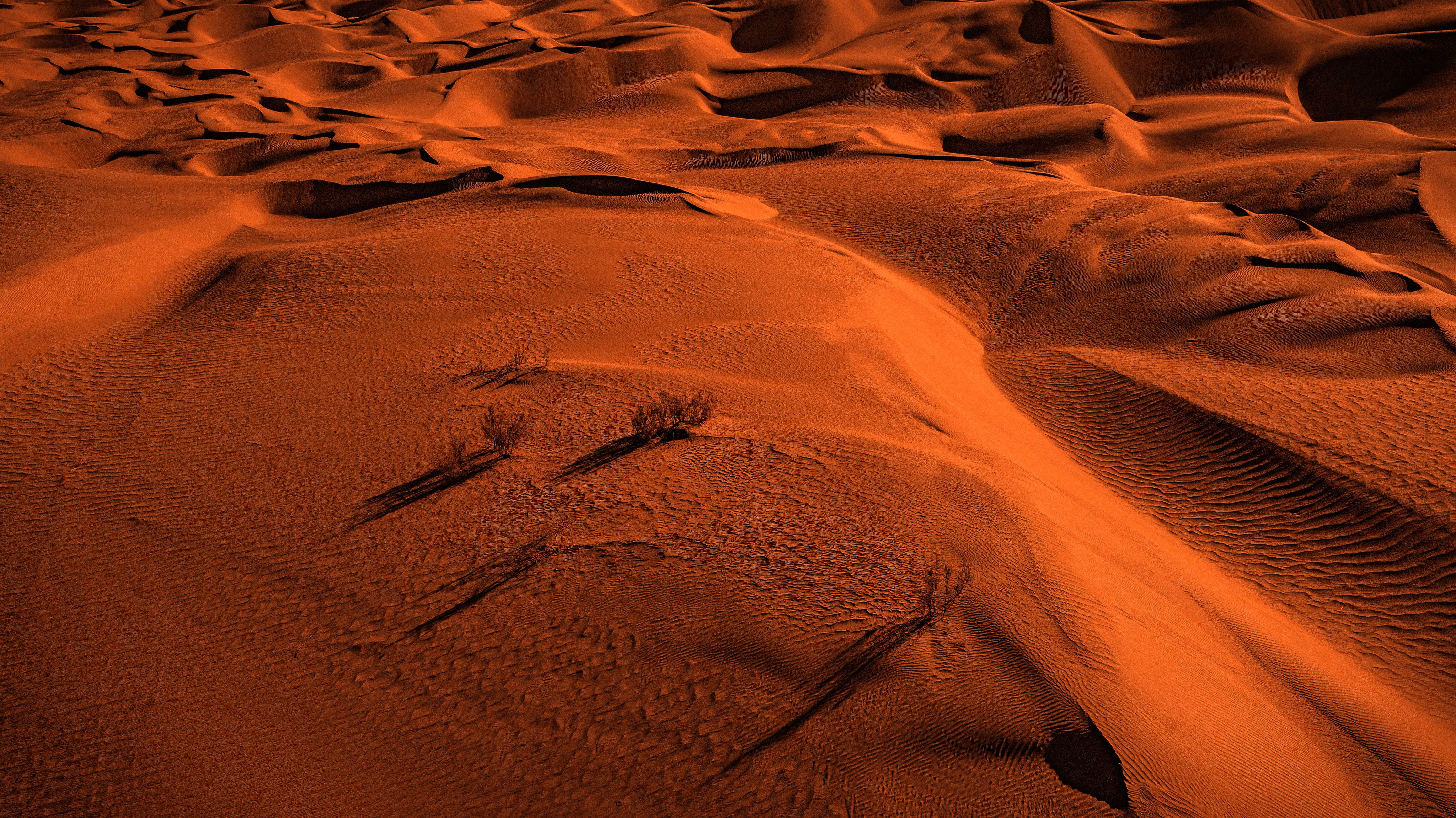 rolling-orange-sand-with-scattered-shrubs.jpg