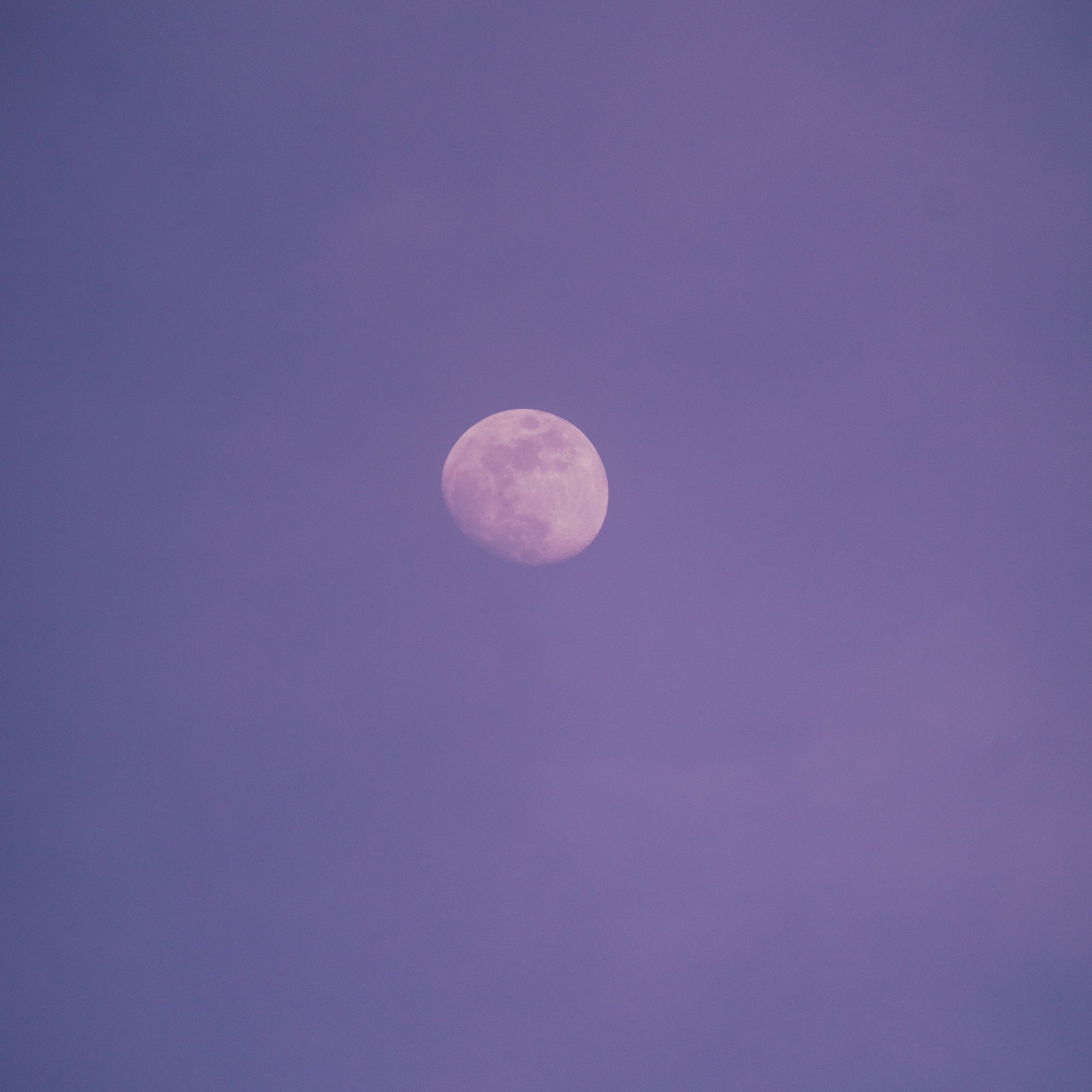 white-moon-purple-night-sky.jpg